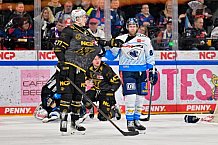 Eishockey, Herren, DEL, Saison 2024-2025, Playoffs Viertelfinale, Spiel 6, Nürnberg Ice Tigers - ERC Ingolstadt, 28.03.2025
