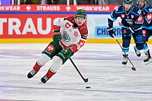 Hockey, Mens, CHL, Season 2025-2026, Quarter-Finals, ERC Ingolstadt - Frölunda Gothenburg, 02.12.2025