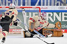 Eishockey, Herren, DEL, Saison 2024-2025, Spieltag 38, ERC Ingolstadt - Nürnberg Ice Tigers, 19.01.2025