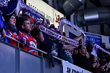 ERC Ingolstadt vs Alder Mannheim am 15.02.2019, Spieltag 32