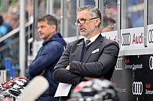 Eishockey, Herren, DEL, Saison 2023-2024, Spieltag 20, ERC Ingolstadt - Adler Mannheim, 19.11.2023