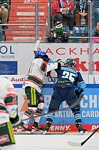 Eishockey, Herren, DEL, Saison 2022-2023, Vorbereitung, ERC Ingolstadt - Augsburger Panther, 04.09.2022