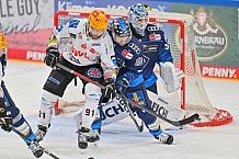 Eishockey, Herren, DEL, Saison 2024-2025, Spieltag 11, ERC Ingolstadt - Pinguins Bremerhaven, 20.10.2024