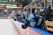 Eishockey, Herren, DEL, Saison 2022-2023, Spieltag 58, ERC Ingolstadt - Bietigheim Steelers, 28.02.2023