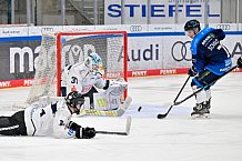 Eishockey, Herren, U20 DNL, Saison 2025-2026, ERC Ingolstadt - ESC Dresden, 14.02.2026