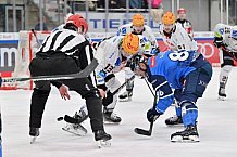 Eishockey, Herren, DEL, Saison 2023-2024, Playoffs Viertelfinale - Spiel 2, ERC Ingolstadt - Fischtown Pinguins , 20.03.2024