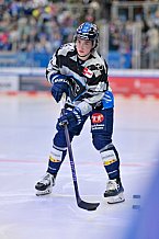 Eishockey, Herren, DEL, Saison 2024-2025, Spieltag 48, ERC Ingolstadt - Nürnberg Ice Tigers, 23.02.2025