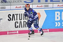ERC Ingolstadt vs Schwenninger Wild Wings, DEL, Deutsche Eishockey Liga, Spieltag 48, 19.02.2019