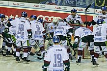 ERC Ingolstadt vs Augsburger Panther, Eishockey, DEL, Deutsche Eishockey Liga, Spieltag 46, 10.02.2017