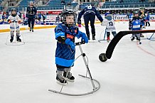 Eishockey, Saison 2025-2026, ERC Ingolstadt - Kids On Ice Day, 29.11.2025