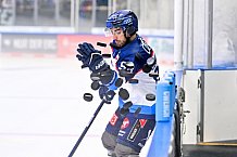 Eishockey, Herren, DEL, Saison 2026-2027, Spieltag 6, ERC Ingolstadt - Kölner Haie, 04.10.2026