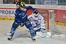 ERC Ingolstadt vs Adler Mannheim, Eishockey, DEL, Deutsche Eishockey Liga, 24.02.2016