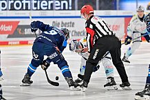 Eishockey, Herren, DEL, Saison 2025-2026, Spiel 44, ERC Ingolstadt - Dresdner Eislöwen, 27.01.2026