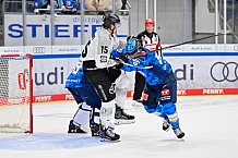 Eishockey, Herren, DEL, Saison 2025-2026, Spiel 16, ERC Ingolstadt - Kölner Haie, 31.10.2025