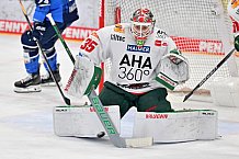 Eishockey, Herren, DEL, Saison 2023-2024, Spieltag 35, ERC Ingolstadt - Augsburger Panther, 05.01.2024