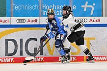 Eishockey, Frauen, DFEL, Saison 2023-2024, ERC Ingolstadt - Amsterdam Tigers, 06.01.2024