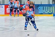 Eishockey, Frauen, DFEL, Saison 2024-2025, ERC Ingolstadt - ECDC Memmingen Indians, 19.01.2025