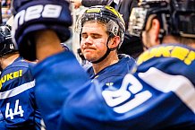 ERC Ingolstadt - Krefeld Pinguine, Eishockey, DEL, Deutsche Eishockey Liga, Spieltag 35, 05.01.2017