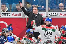 Eishockey, Herren, DEL, Saison 2024-2025, Spieltag 35, ERC Ingolstadt - Augsburger Panther, 10.01.2025