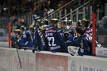 ERC Ingolstadt vs Hamburg Freezers, Eishockey, DEL, Deutsche Eishockey Liga, 10.01.2016