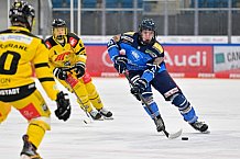 Eishockey, U20, DNL, Saison 2024-2025, ERC Ingolstadt - Krefelder EV 81, 01.03.2025
