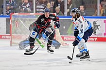 Eishockey, Herren, DEL, Saison 2024-2025, Spieltag 39, Straubing Tigers - ERC Ingolstadt, 24.01.2025