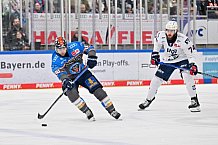 Eishockey, Herren, DEL, Saison 2023-2024, Spieltag 38, ERC Ingolstadt - Adler Mannheim, 14.01.2024