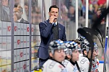 Eishockey, Herren, DEL, Saison 2024-2025, Spieltag 16, Nürnberg Ice Tigers - ERC Ingolstadt, 15.11.2024