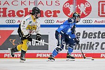 Eishockey, Frauen, DFEL, Saison 2023-2024, ERC Ingolstadt - Mad Dogs Mannheim, 18.02.2024