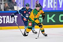 Hockey, Mens, CHL, Season 2025-2026, Regular Season, Game Day 1, ERC Ingolstadt - Ilves Tampere, 28.08.2025