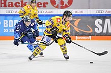 ERC Ingolstadt vs Krefeld Pinguine, DEL, Deutsche Eishockey Liga, Spieltag 3, 20.09.2019