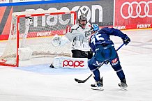 Eishockey, Herren, DEL, Saison 2024-2025, Playoffs Halbfinale, Spiel 3, ERC Ingolstadt - Kölner Haie, 06.04.2025