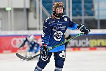 Eishockey, Frauen, DFEL, Saison 2024-2025, ERC Ingolstadt - ECDC Memmingen Indians, 16.11.2024