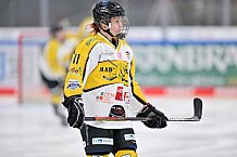 Eishockey, Frauen, DFEL, Saison 2022-2023, ERC Ingolstadt - Mad Dogs Mannheim, 20.11.2022