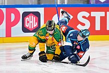 Hockey, Mens, CHL, Season 2025-2026, Regular Season, Game Day 1, ERC Ingolstadt - Ilves Tampere, 28.08.2025