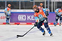 Eishockey, Frauen, DFEL, Saison 2024-2025, ERC Ingolstadt - EC Bergkamener Bären, 04.01.2025