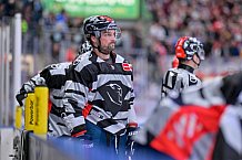 Eishockey, Herren, DEL, Saison 2023-2024, Spieltag 33, ERC Ingolstadt - Eisbären Berlin, 30.12.2023