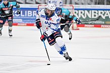 Eishockey, Herren, DEL, Saison 2026-2027, Spieltag 4, ERC Ingolstadt - Adler Mannheim, 27.09.2026
