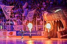 Hockey, Mens, CHL, Season 2025-2026, Regular Season, Game Day 1, ERC Ingolstadt - Ilves Tampere, 28.08.2025