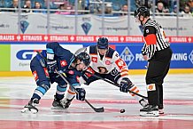 Eishockey, Mens, CHL, Season 2023-2024, ERC Ingolstadt - Växjö Lakers, 14.11.2023