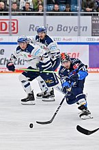 Eishockey, Herren, DEL, Saison 2023-2024, Spieltag 21, ERC Ingolstadt - Iserlohn Roosters, 23.11.2023