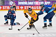 Hockey, Mens, CHL, Season 2025-2026, Regular Season, Game Day 2, ERC Ingolstadt - Kalpa Kuopio, 30.08.2025