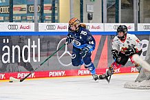 Eishockey, Frauen, DFEL, Saison 2024-2025, ERC Ingolstadt - EC Bergkamener Bären, 04.01.2025