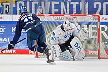 Eishockey, Herren, DEL, Saison 2024-2025, Spieltag 17, ERC Ingolstadt - Adler Mannheim, 17.11.2024