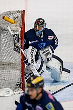 ERC Ingolstadt - Adler Mannheim, Eishockey, DEL, Deutsche Eishockey Liga, Spieltag 47, 24.02.2016