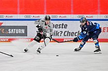 Eishockey, Herren, DEL, Saison 2024-2025, Spieltag 42, ERC Ingolstadt - Kölner Haie, 31.01.2025