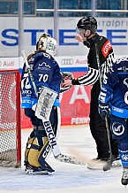 Eishockey, Frauen, DFEL, Saison 2024-2025, ERC Ingolstadt - Mad Dogs Mannheim, 23.11.2024