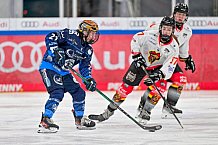 Eishockey, Frauen, DFEL, Saison 2024-2025, ERC Ingolstadt - EC Bergkamener Bären, 05.01.2025