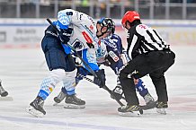 Eishockey, Herren, DEL, Saison 2024-2025, Vorbereitung, ERC Ingolstadt - Dresdner Eislöwen, 18.08.2024