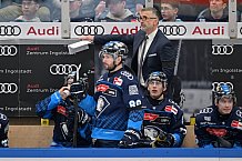 Eishockey, Herren, DEL, Saison 2024-2025, Spieltag 42, ERC Ingolstadt - Kölner Haie, 31.01.2025